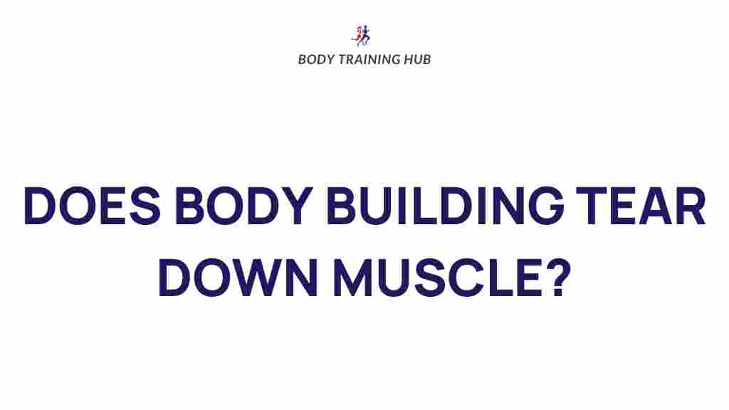 muscle-breakdown-bodybuilding