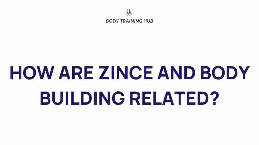 zinc-bodybuilding-connection